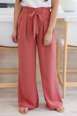 PSK Back Of My Mind Wide Leg Pants - Terracotta Medium